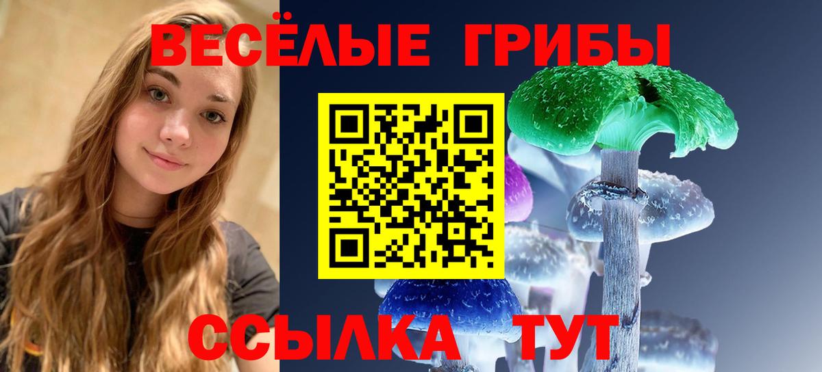 Галлюциногенные грибы Cubensis Артём